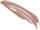6 Rosewood Shimmer 6 Rosewood Shimmer
